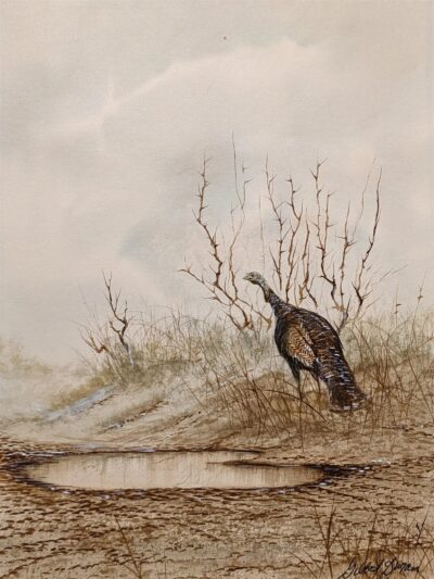 SOLD - Gilbert Duran, San Antonio artist, Watercolor Turkey