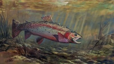 SOLD - David Swantner, Oil on board "Cutthroat Trout"