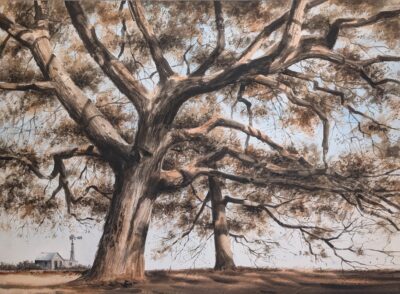 SOLD - E. Gordon West Watercolor, Oak Tree